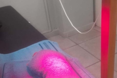 09