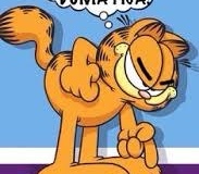 84