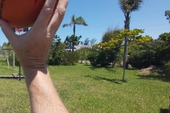 28